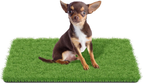 Fake grass for dogs - fake,